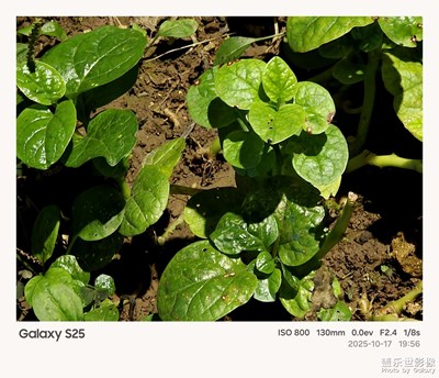 《夜生活》—用镜头框住塞博夜景
