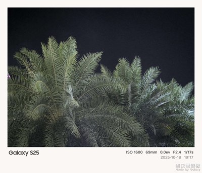 《我的视界》—我眼“框”里的世界