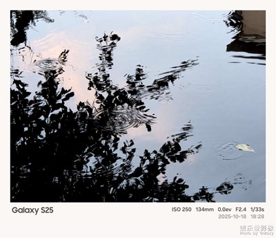 《我的视界》—我眼“框”里的世界