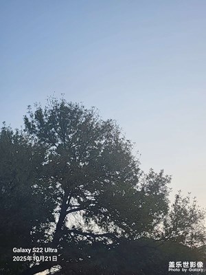 【秋日丽影】 秋风瑟瑟