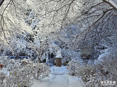 【色彩对话】+季节交替