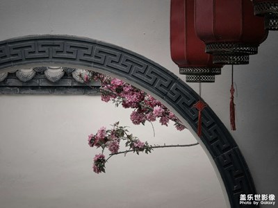 让光阴入画，园林的诗性留白与古朴闲趣