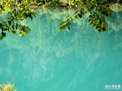 【拍有意境】+九寨沟