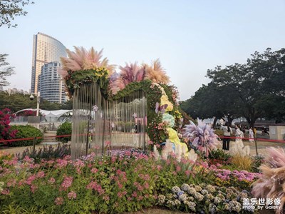 【初冬限定帧】+花城景色