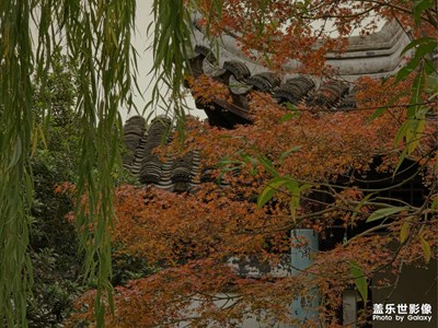 翦翠红绡，晖落回廊