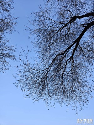 【时光留痕】2025的记忆