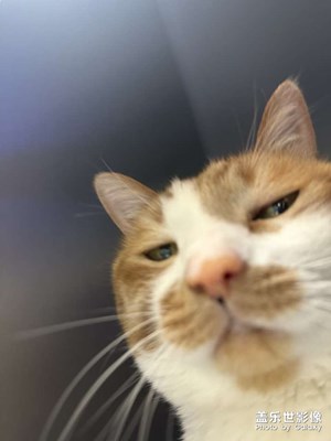 首尾帧视频，丝滑无缝穿越