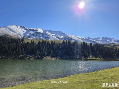 【身边的小自然】+发现身边美