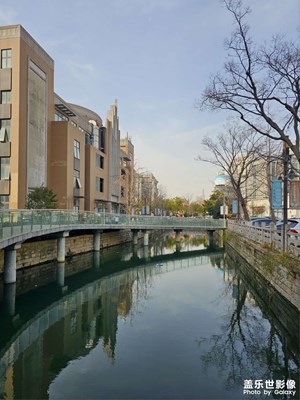 【不期而遇的美】路上的风景