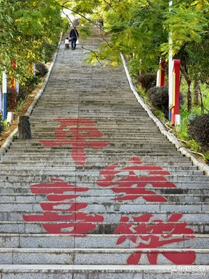 【新年决心】行万里路 始于广西