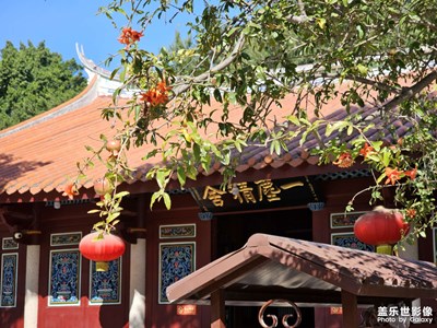 【靓影迎春】石榴花开