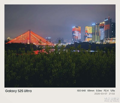 夜色滨江公园，油菜花里的青春物语