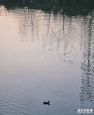 书里让人喜出望外的傍晚，落进了河湾