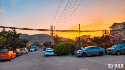 【聚焦四月】晚春余色（2）